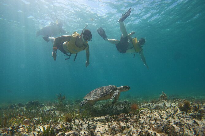 3 in 1 Catamaran Tour to Isla Mujeres from Cancun All Inclusive - Authentic Experiences & Real Guest Insights