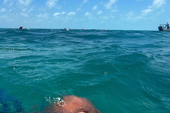 3 in 1 Experience in Tulum - What’s Included and What’s Not