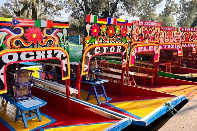 3 in 1 Special Price Museum Frida Khalo Xochimilco and Coyoacan - What This Tour Means for You