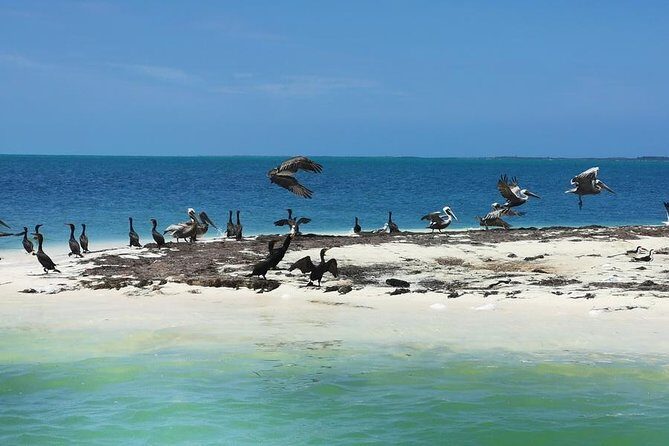 3 Islands Snorkel on boat, Isla Blanca, Contoy, Mujeres - The Itinerary: What to Expect