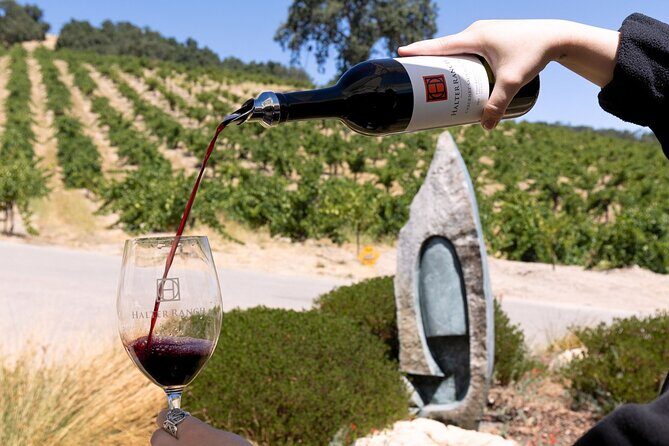 3-Winery Tour Includes Tastings & Lunch in Paso Robles from SLO - The Value of the Tour