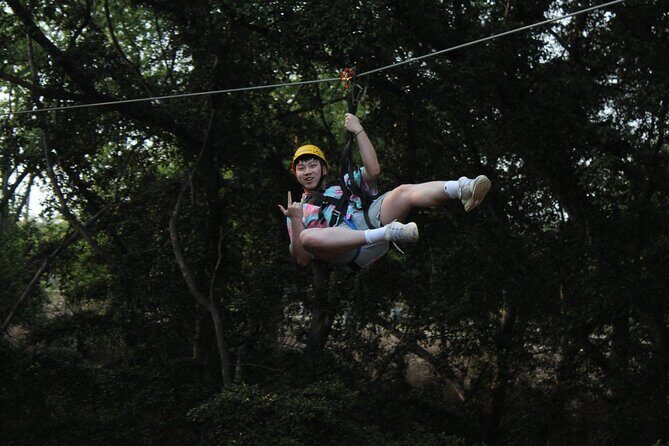 3 Zipline Adventure with Waikiki Transportation - What the Reviews Say