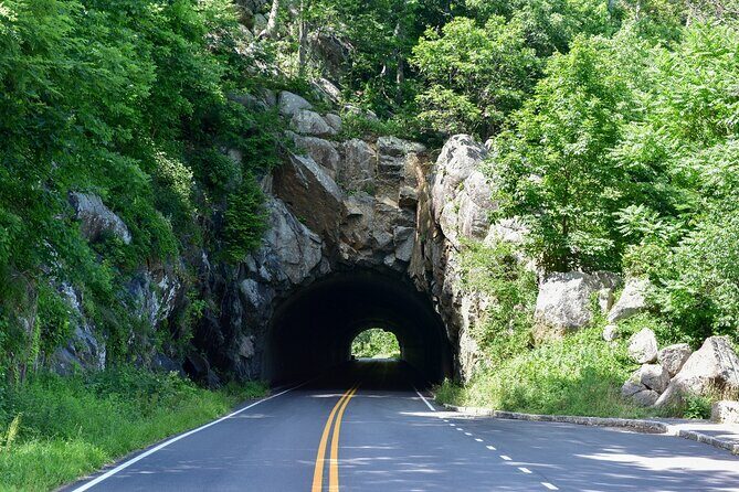 30+ National Parks Self-Guided Driving Tours Bundle - Who Will Love This Tour?