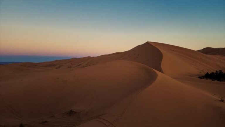 3D Deluxe Experience: Marrakech to Merzouga w/ Quad Option - Who Will Love This Tour?
