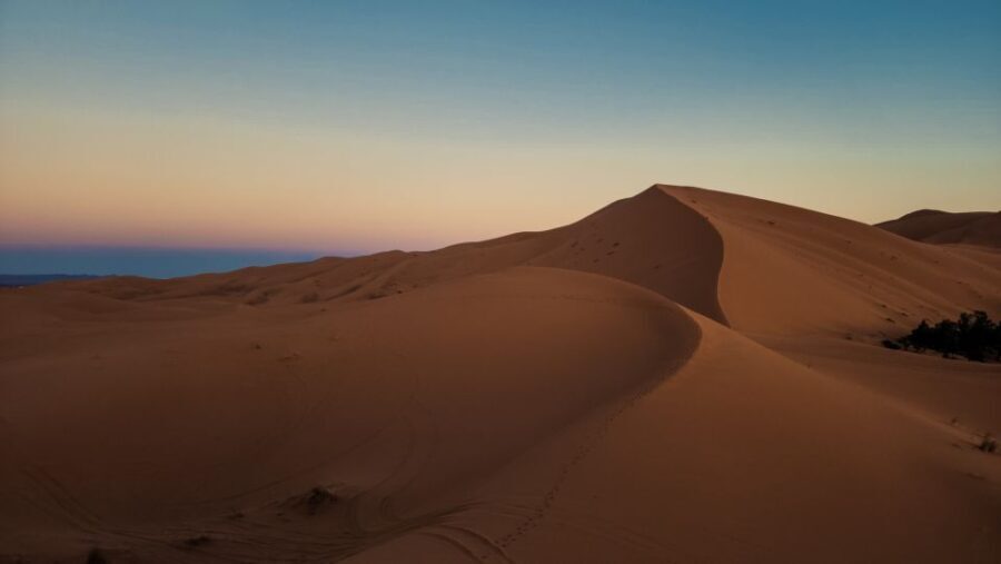3D Deluxe Experience: Marrakech to Merzouga w/ Quad Option - Who Will Love This Tour?