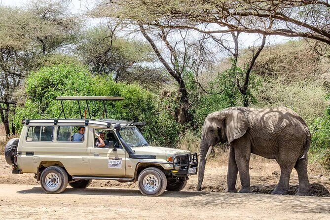 3Days luxury safari to Tarangire Ngorongoro crater and Manyara - Who Will Love This Safari?