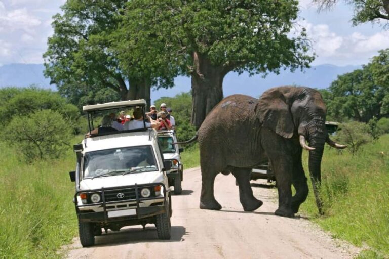 3Days Masai Mara Camping Safari with a 4x4 Land Cruiser Jeep - Whats Included & Whats Not
