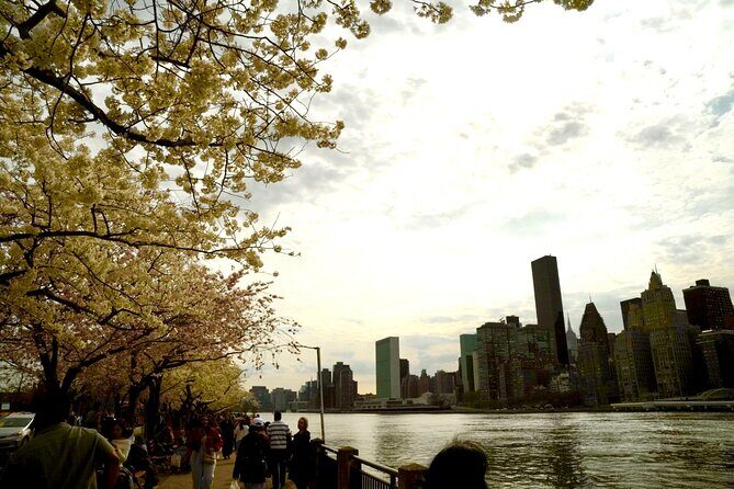 3Days New York City Tour With Professional Photographer - Transportation and Logistics