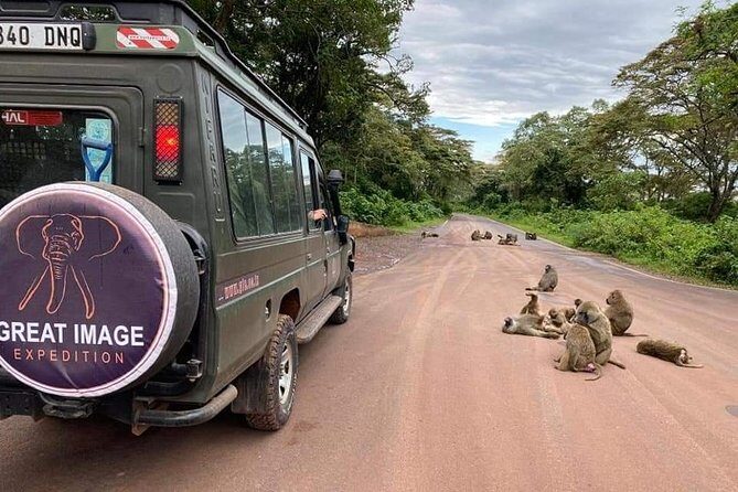 3days Serengeti National park and Ngorongoro Crater Tanzania Safari - Who Is This Safari Best For?
