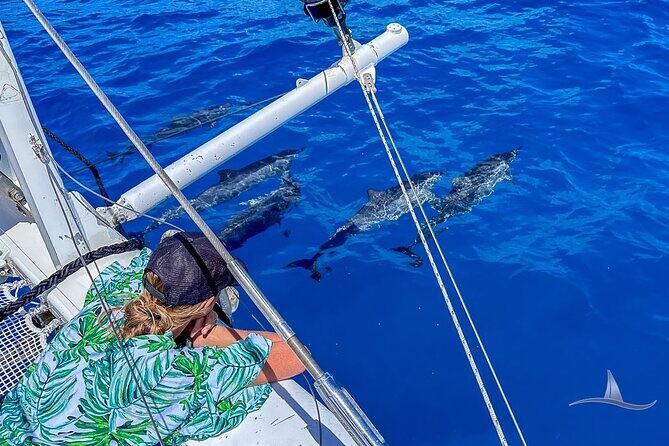 3hr Luxury Private Sailing Catamaran in Waikiki for 1 to 6 People - A Close Look at the Experience