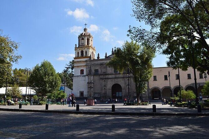 3X1 Tour in Xochimilco UNAM and Coyoacan - Practical Tips for Getting the Most Out of This Tour