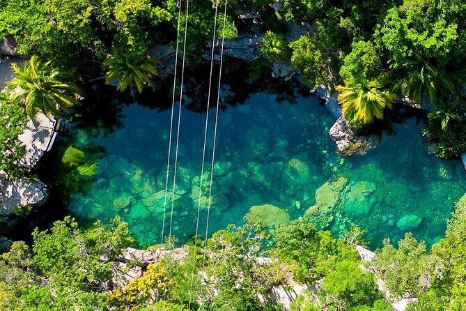 4 Casa Tortugas Cenotes Tour from Playa del Carmen - Key Points