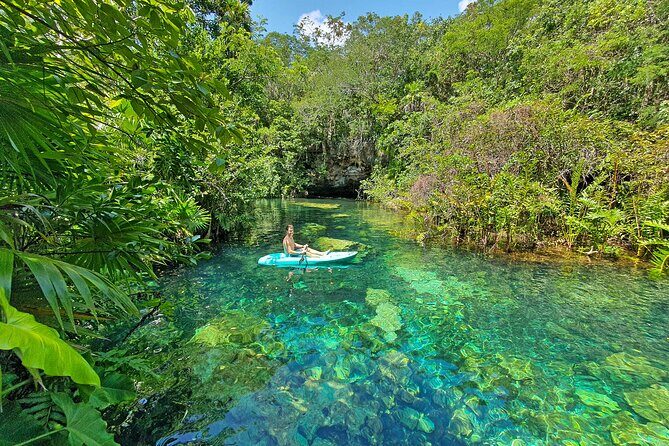 4 Cenotes Eco-Park from Playa del Carmen - Who Will Love This Tour?