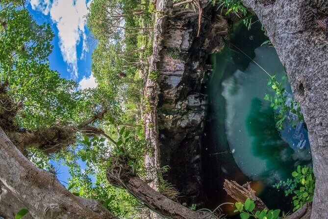 4 Cenotes Full Day Tour from Merida - Who Should Consider This Tour
