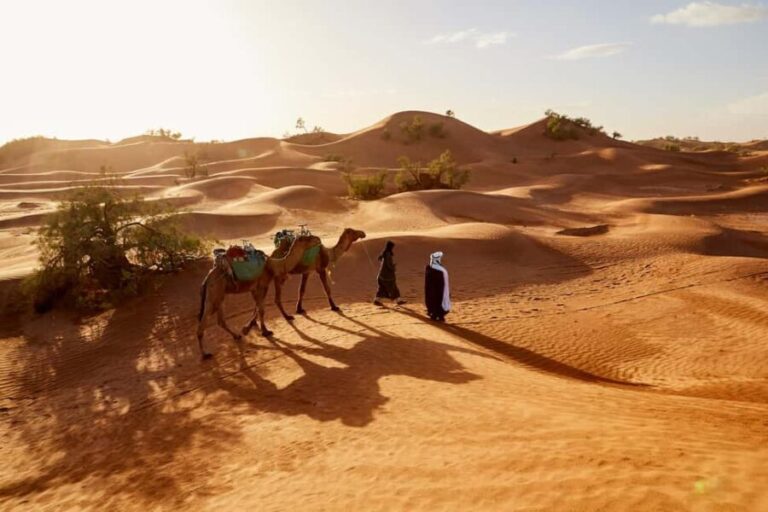 4 Day Adventure from Marrakech to Erg Chegaga in the Sahara - The Real Value of This Tour