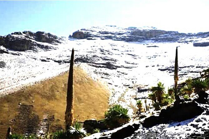 4 Day Adventure Tour in Simien Mountains - The Practical Side: What’s Included and What You Should Know