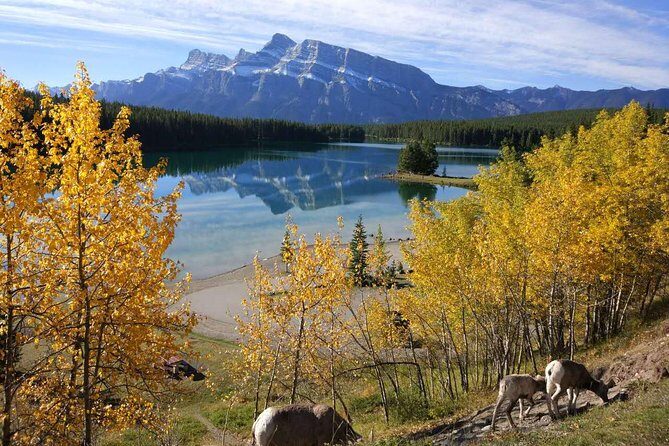 4-Day Banff, Lake Louise, Jasper, Icefield Packaged Tour - What Travelers Say: Authentic Perspectives