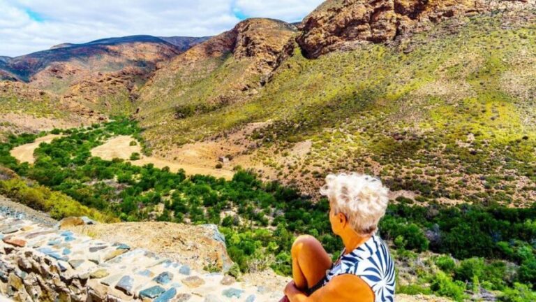 4 Day Cape Town Essential Tour & Big 5 Safari At Inverdoorn - Who Should Consider This Tour?