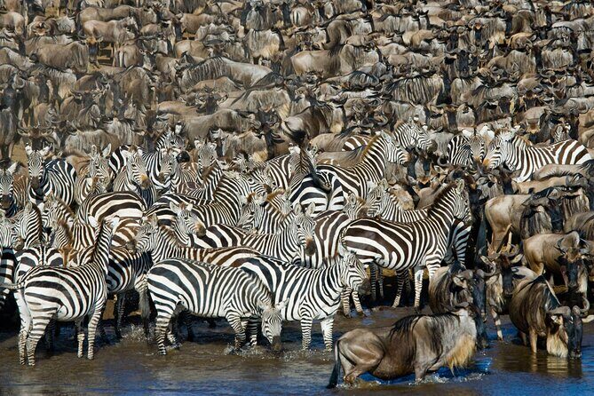 4-Day Group Safari to Tarangire, Serengeti & Ngorongoro Crater - Detailed Breakdown of the Itinerary