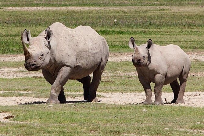 4 Day Joined Group Safari Ngorongoro, Manyara,Tarangire and Arusha National Park - Authenticity and Overall Value