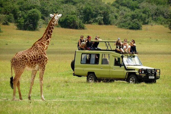 4-Day Majestic Group Tour in Safari - What Makes This Safari Stand Out?