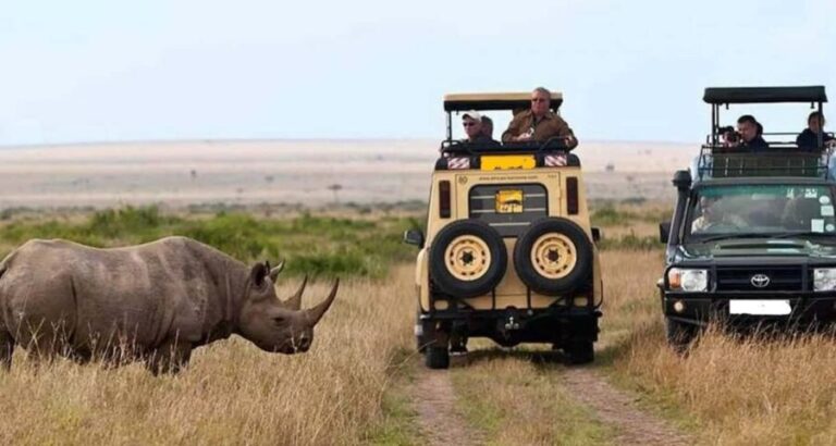 4-Day Masaai Mara & Lake Nakuru Camping Safari on a 4x4 Jeep - An In-Depth Look at the 4-Day Masai Mara & Lake Nakuru Safari