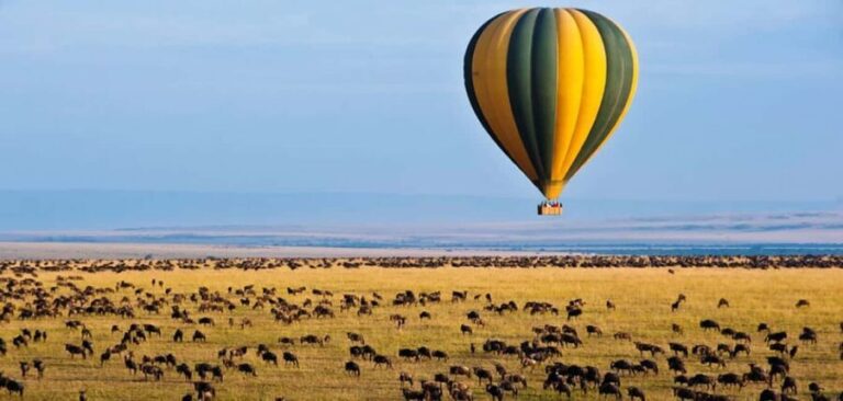 4-day Masai Mara safari combined with a hot air balloon ride - Analyzing the Value