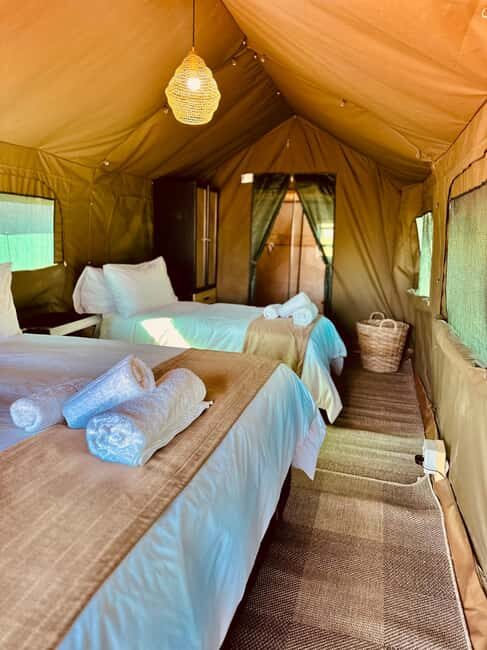 4-Day Pilanesberg Tlou En-Suite Tented Safari - Accommodation: Comfort in Sustainability