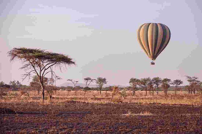 4 Day Private Camping Safari in Serengeti,Ngorongoro and Tarangire National Park - The Logistics: Transportation, Accommodation, and Activities