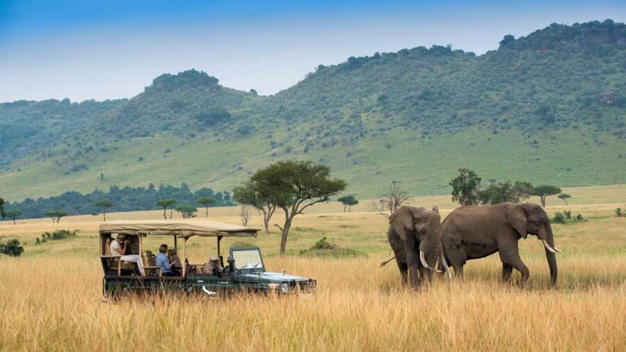 4-Day Safari Masai Mara and Lake Nakuru National Park - The Practical Side: What You’ll Love and What to Consider