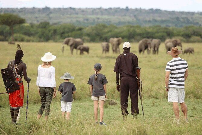 4 Day Safari- Tarangire,Ngorongoro and Serengeti - What’s Included and What to Budget For