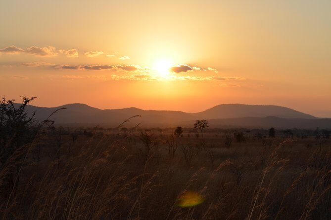 4 Day Serengeti & Ngorongoro Safari Wildlife Wonders of Tanzania - A Closer Look at the Itinerary