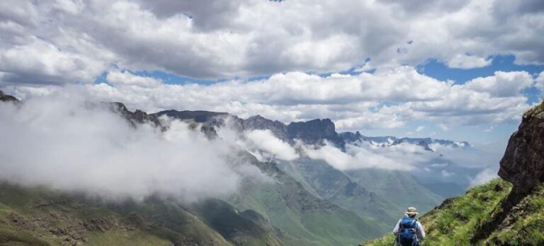 4 Day Small Group Garden Route Tour From Cape Town - Day 2: Knysna & Plettenberg Bay