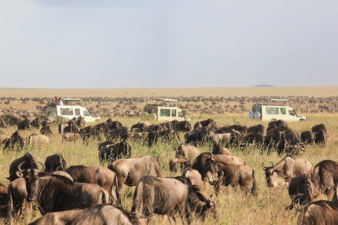 4 Day Tanzania Safari Tarangire Serengeti and Ngorongoro Bliss - Detailed Breakdown of the Itinerary