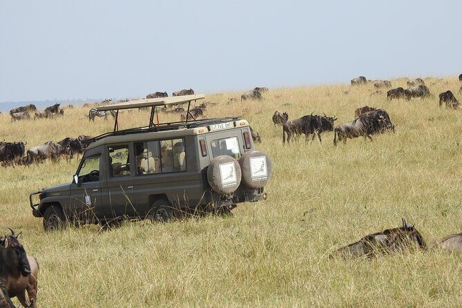 4-Day Tarangire, Serengeti, Ngorongoro Crater - Travel Comfort and Logistics