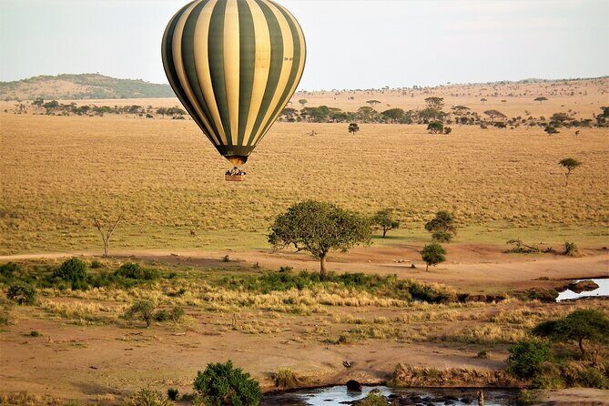 4-Day Tour to Tarangire, Serengeti and Ngorongoro - Day 4: Ngorongoro Crater – The Eighth Wonder