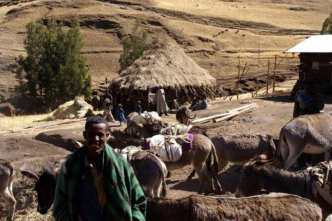 4 Day Trekking Simien Mountains - Authenticity and Guides: Why They Matter