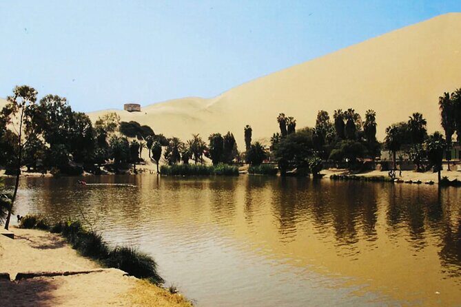 4-Day White Desert Camping - Authentic Reviews and Real Experiences