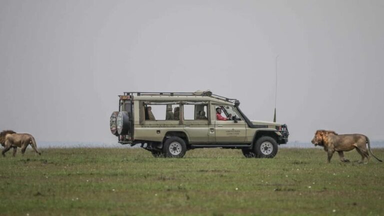 4 Days 3 Nights Masai Mara and Lake Nakuru Adventure safari - What to Expect: The Experience on the Ground
