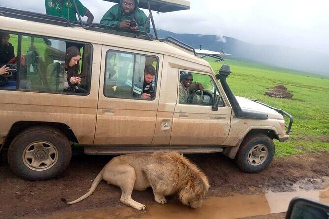4 Days /3 nights Tarangire, Serengeti and Ngorongoro crater - Final Thoughts and Who Should Consider This Tour