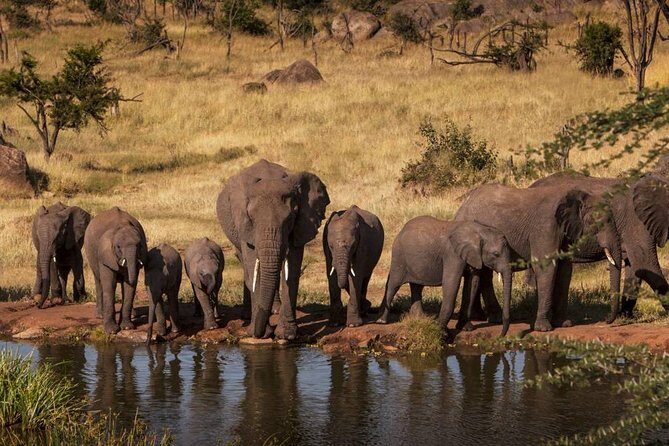 4-Days Adventure Camping Safari to Tarangire, Serengeti & Ngorongoro - Deep Dive into the Features and Value