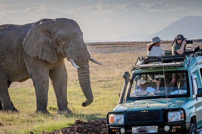 4 days Awesome Luxury safari Tarangire Serengeti & Ngorongoro - Day 1: Tarangire National Park