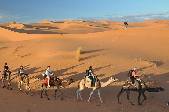4 Days Desert Tour from Casablanca to Marrakech Via Fes and Sahara - Value and Pricing