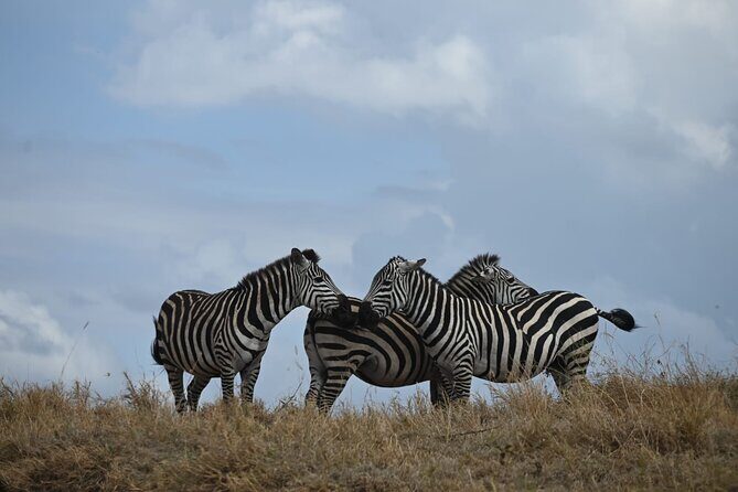 4 Days Group Camping Safari - What the Reviews Say