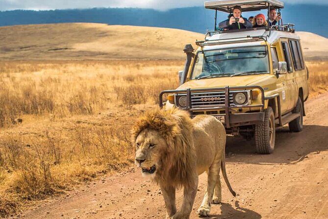 4 Days Group Joining Camping Tanzania safari - Summary: Is This Safari for You?