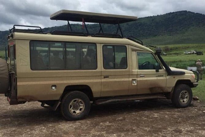 4 days luxury safari (a dream experience) - What Sets This Safari Apart?