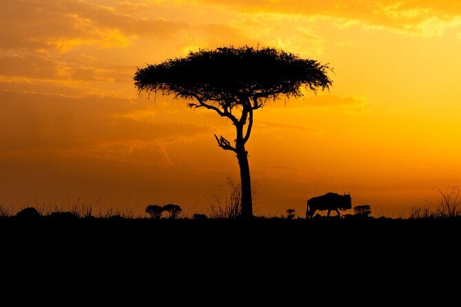 4 Days Private Arusha National Park, Serengeti, Ngorongoro Tour - Why This Tour Offers Value and Memorable Experiences