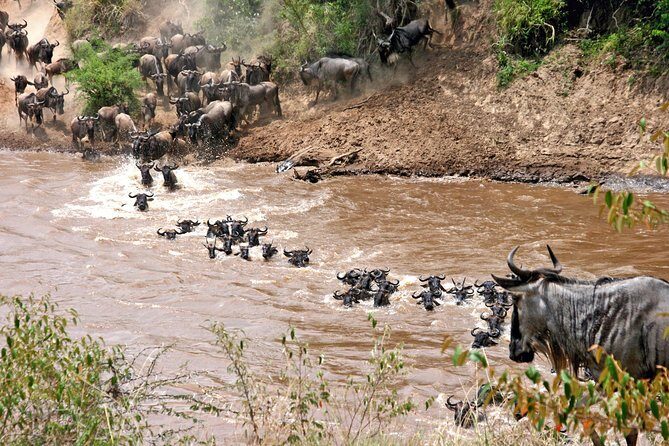 4 Days Private Migration Midrange Safari - What’s Included — And What’s Not