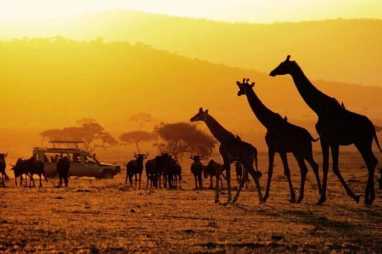 4-Days Safari Experience in Tanzania - Exploring the Ngorongoro Crater