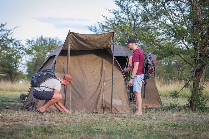 4 Days safari Tour Tanzania - The Experience: What We Can Expect